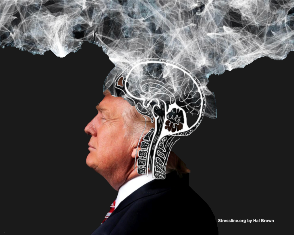 Robert Reich’s three questions about Trump’s cognitive condition must be answered. By Hal Brown, MSW