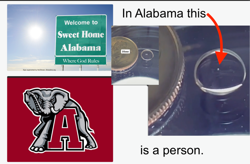 Alabama elephant shows us what the state wants to do with abortion, by Hal Brown, MSW