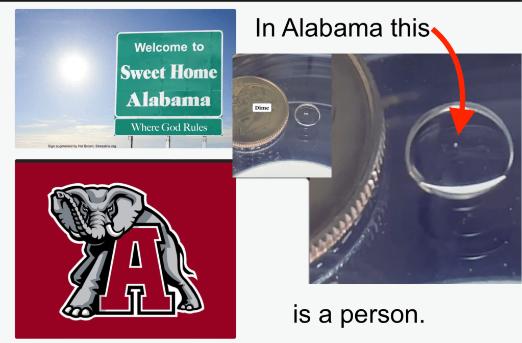 Alabama elephant shows us what the state wants to do with abortion, by Hal Brown,&nbsp;MSW