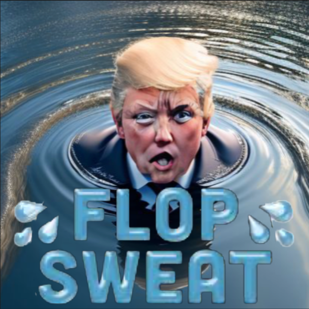 When your opponent suggests you will be another Hitler what’s left but to say besides that they will start World War III? By Hal Brown.&nbsp;MSW